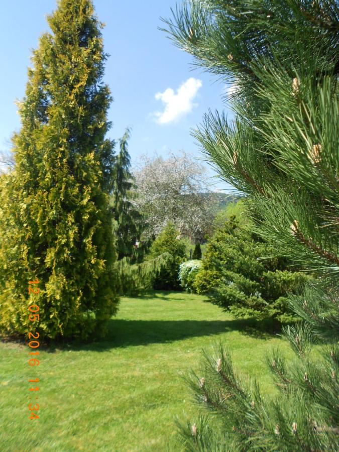 Agroturystyka Zielony Ogrod Scinawka Srednia المظهر الخارجي الصورة